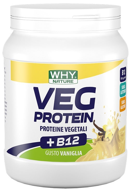 WHYNATURE VEG PROTEIN VAN 450G