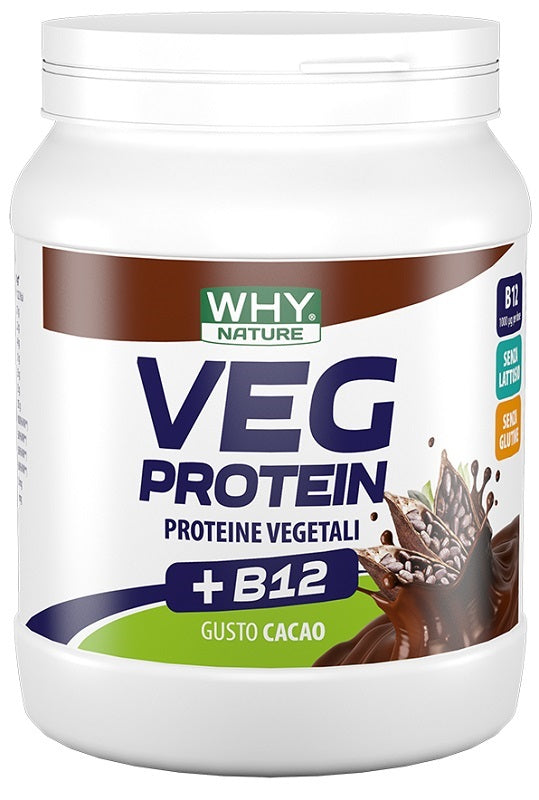 WHYNATURE VEG PROTEIN CAC 450G