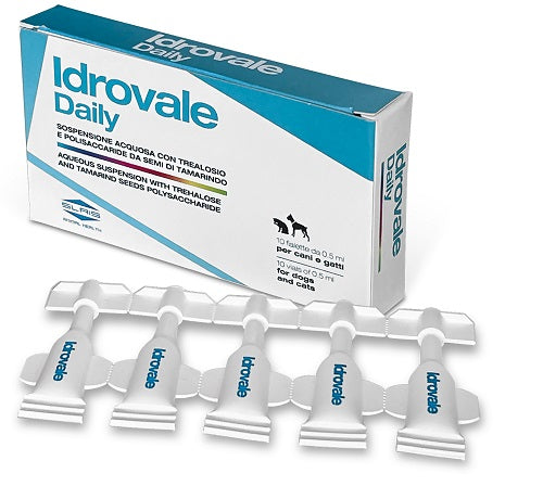 IDROVALE DAILY 10F