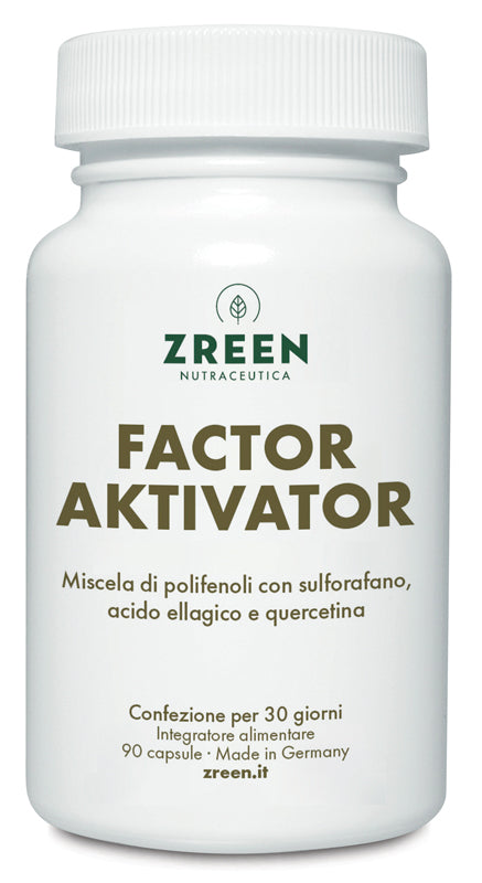 ZREEN FACTOR AKTIVATOR 90CPS