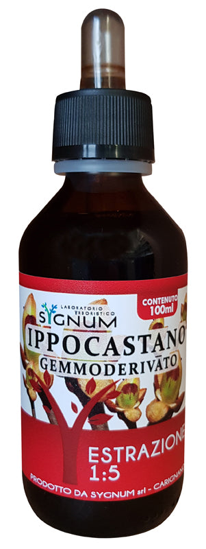 IPPOCASTANO GEMME 100ML