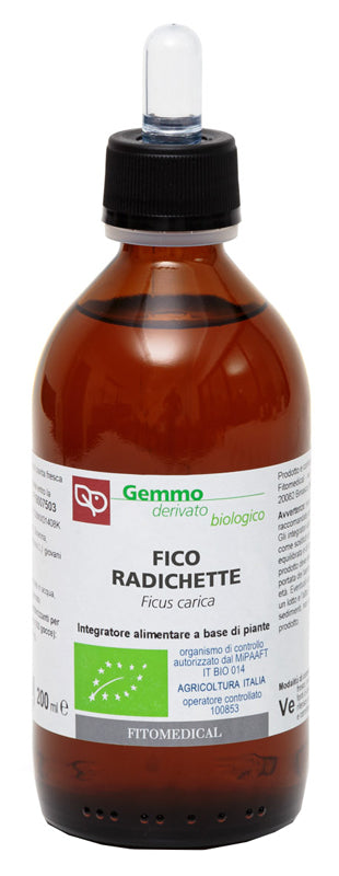 FICO RADICHETTE MG 200ML