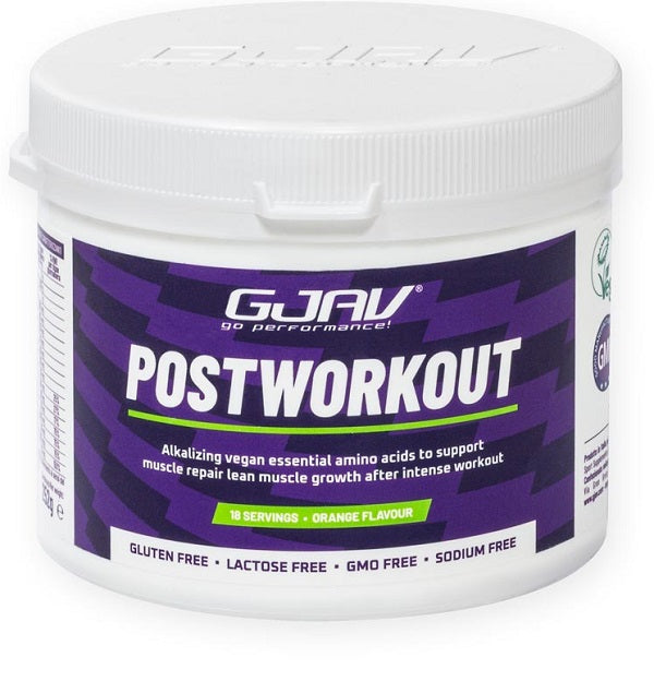 GJAV POSTWORKOUT ARANCIA 261G