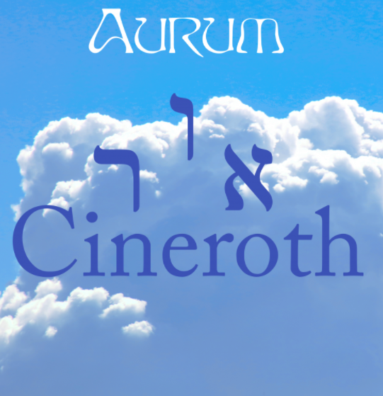 NUN CINEROTH SPRAY - 30ML