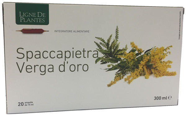 LIGNE SPACCAPIETRA VERGA 20AMP
