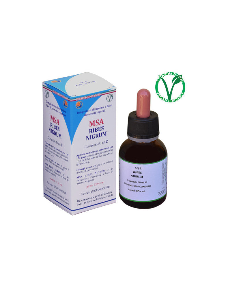MSA RIBES NIGRUM 100ML