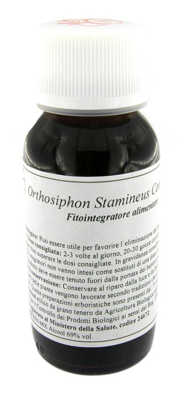 LVS 65S ORTHOSIPHON STAMI COMP