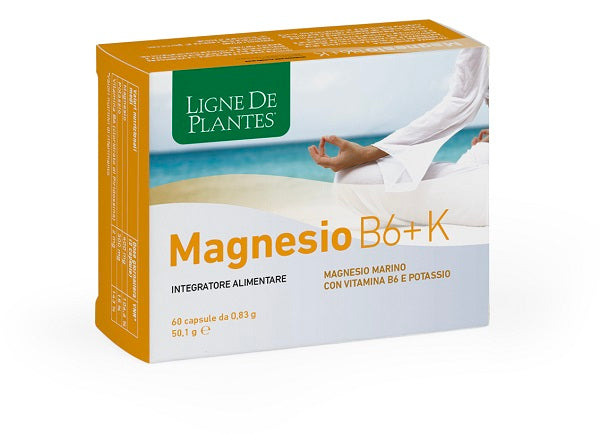 MAGNESIO B6 + K 60CPS