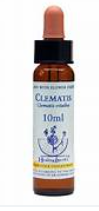 CLEMATIS CFE STO BOT 10ML