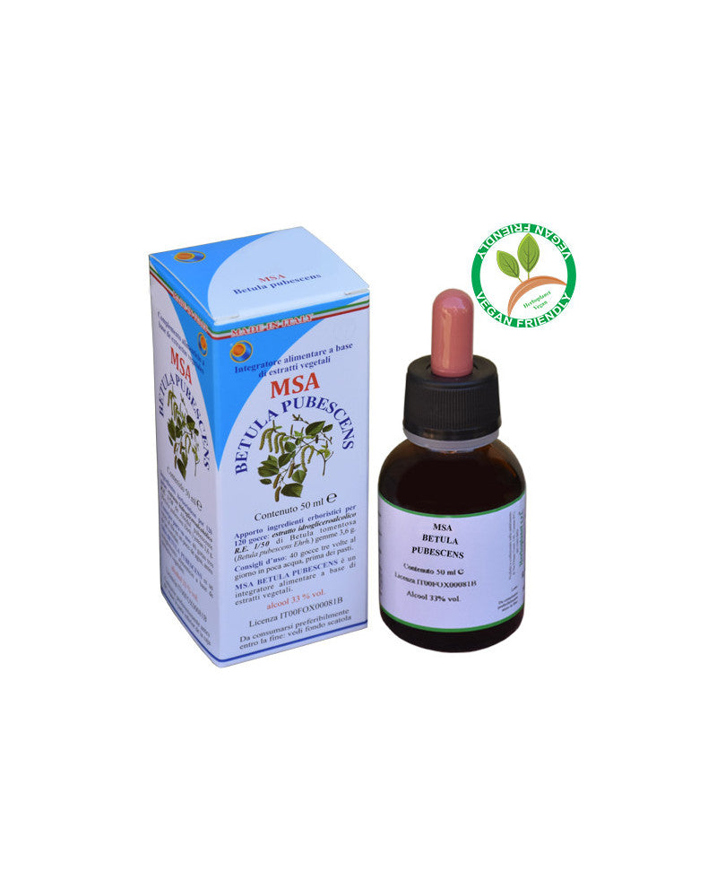 MSA BETULA PUBESCENS 50ML