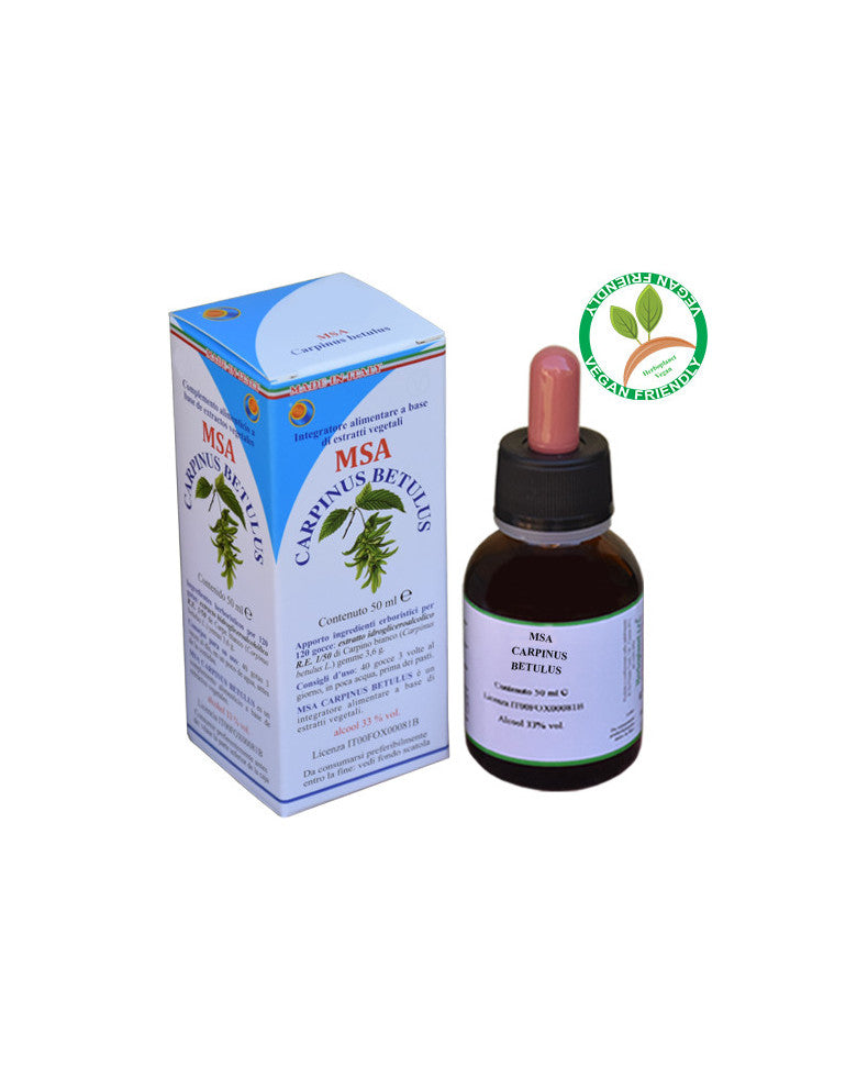 MSA CARPINUS BETULUS 50ML