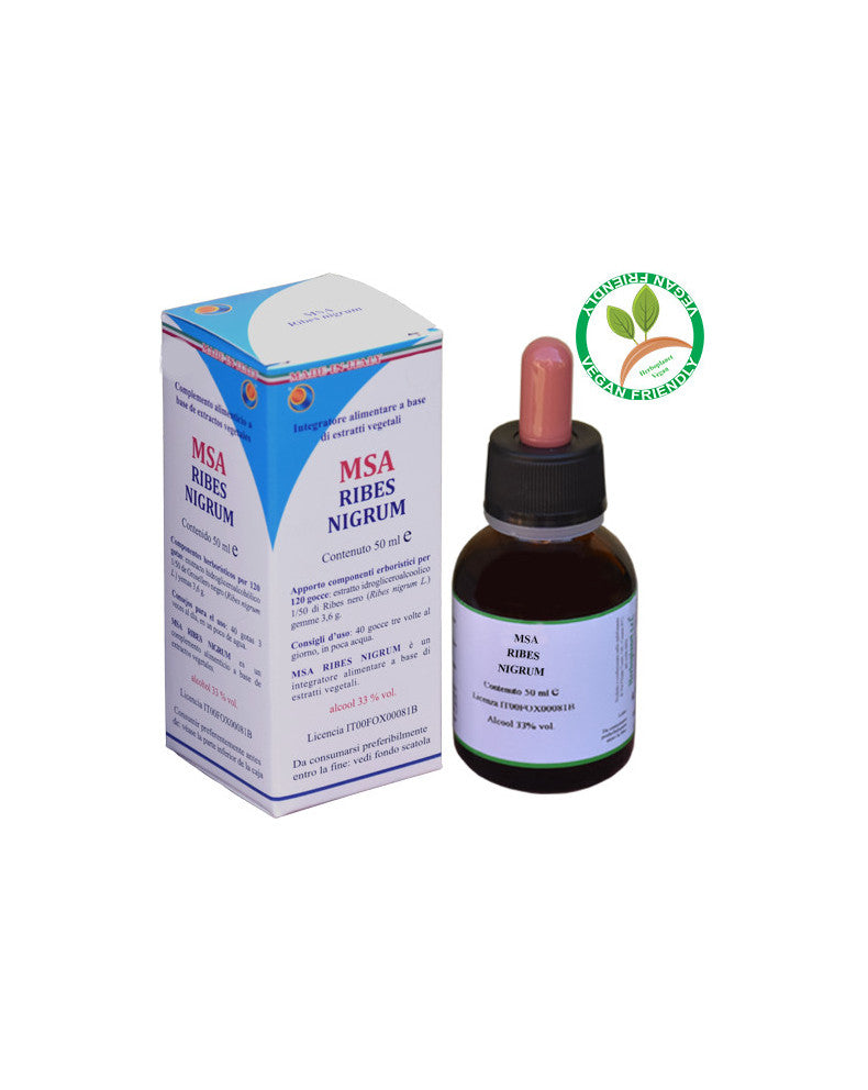 MSA RIBES NIGRUM 50ML