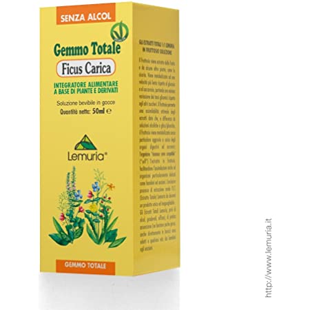 FICUS CARICA