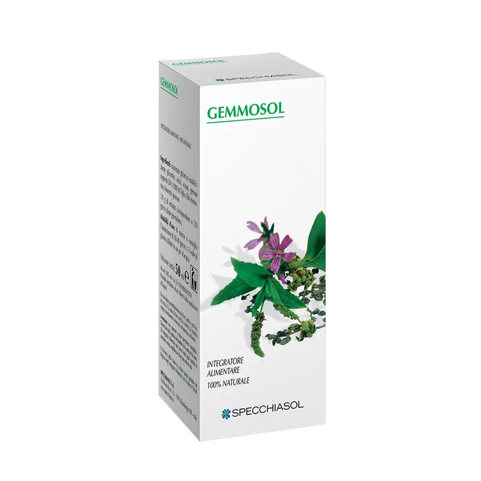 RIBES NIGRUM MACERATO GLICERICO 100ML