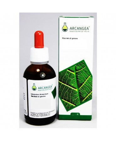ALNUS GLUTINOSA MG 100ML
