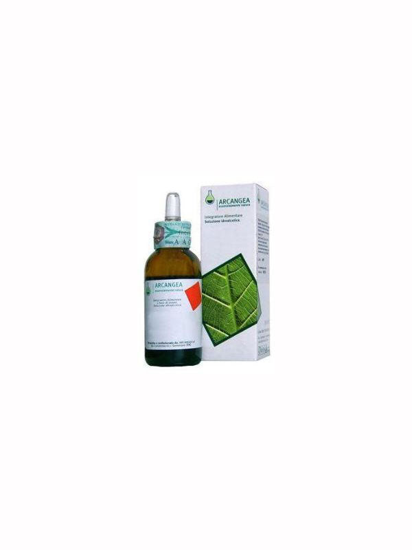 CASTANEA VESCA MG 50ML