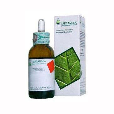 VIBURNUM LANTANA MG 100ML