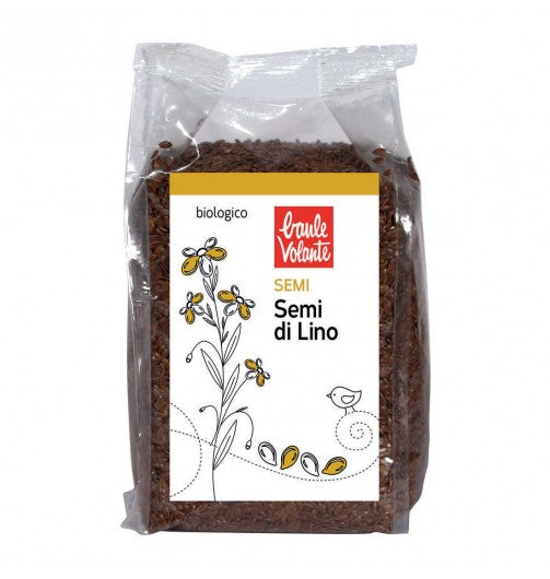SEMI DI LINO 500G