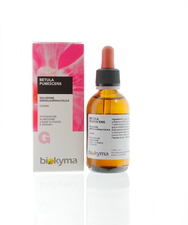 BETULA PUBESCENS GEMME TM 100ML