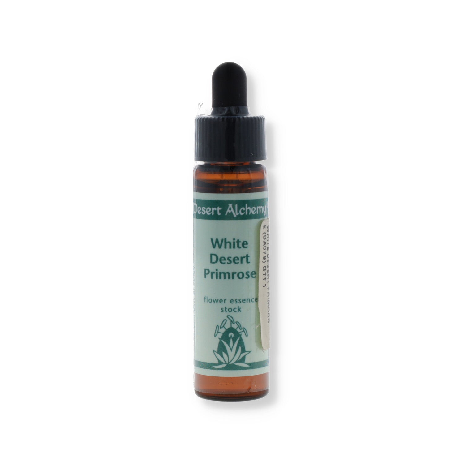 ESSENZA SINGOLA DEL DESERTO DELL'ARIZONA WHITE DESERT PRIMROSE 10 ML