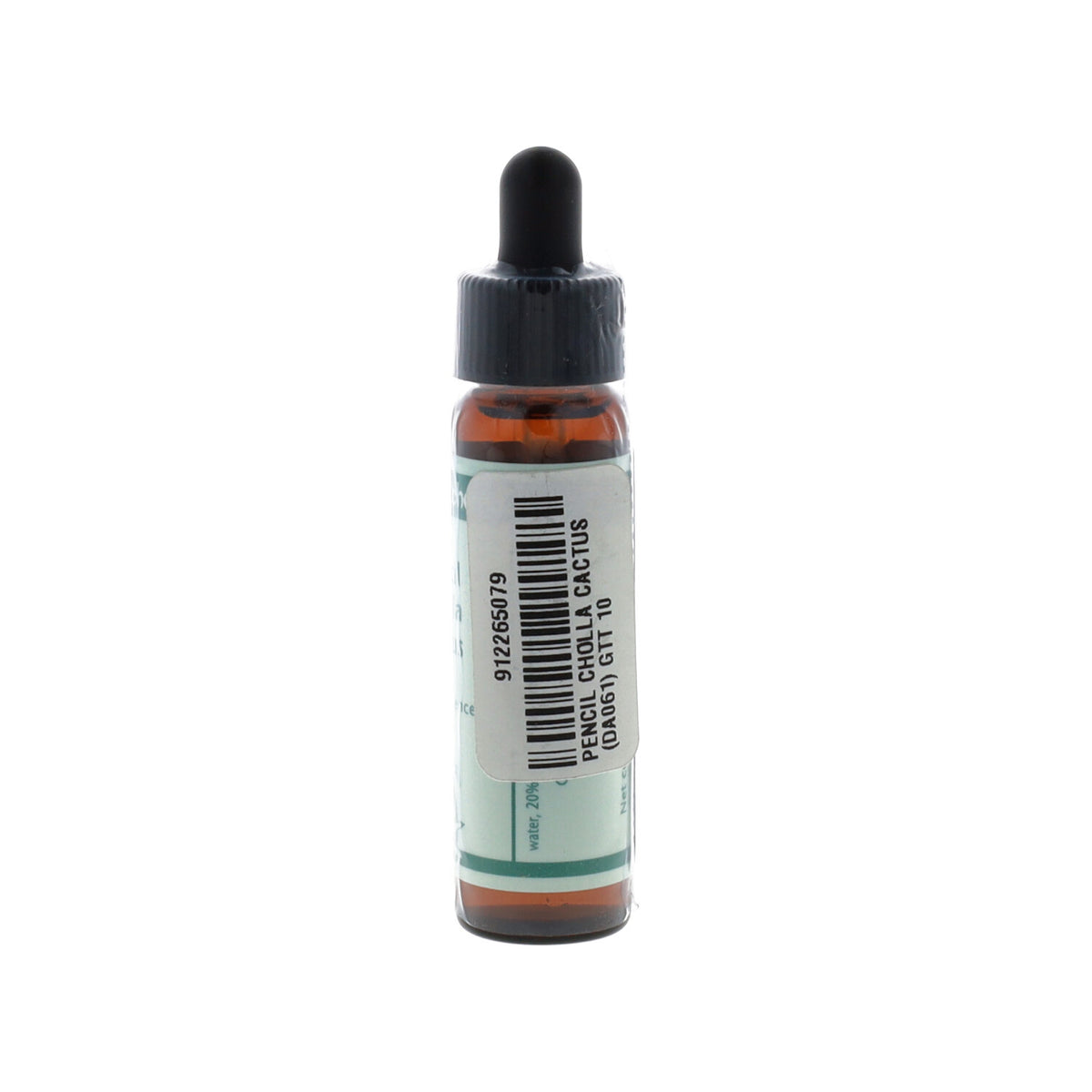 ESSENZA SINGOLA DEL DESERTO DELL'ARIZONA PENCIL CHOLLA CACTUS 10 ML