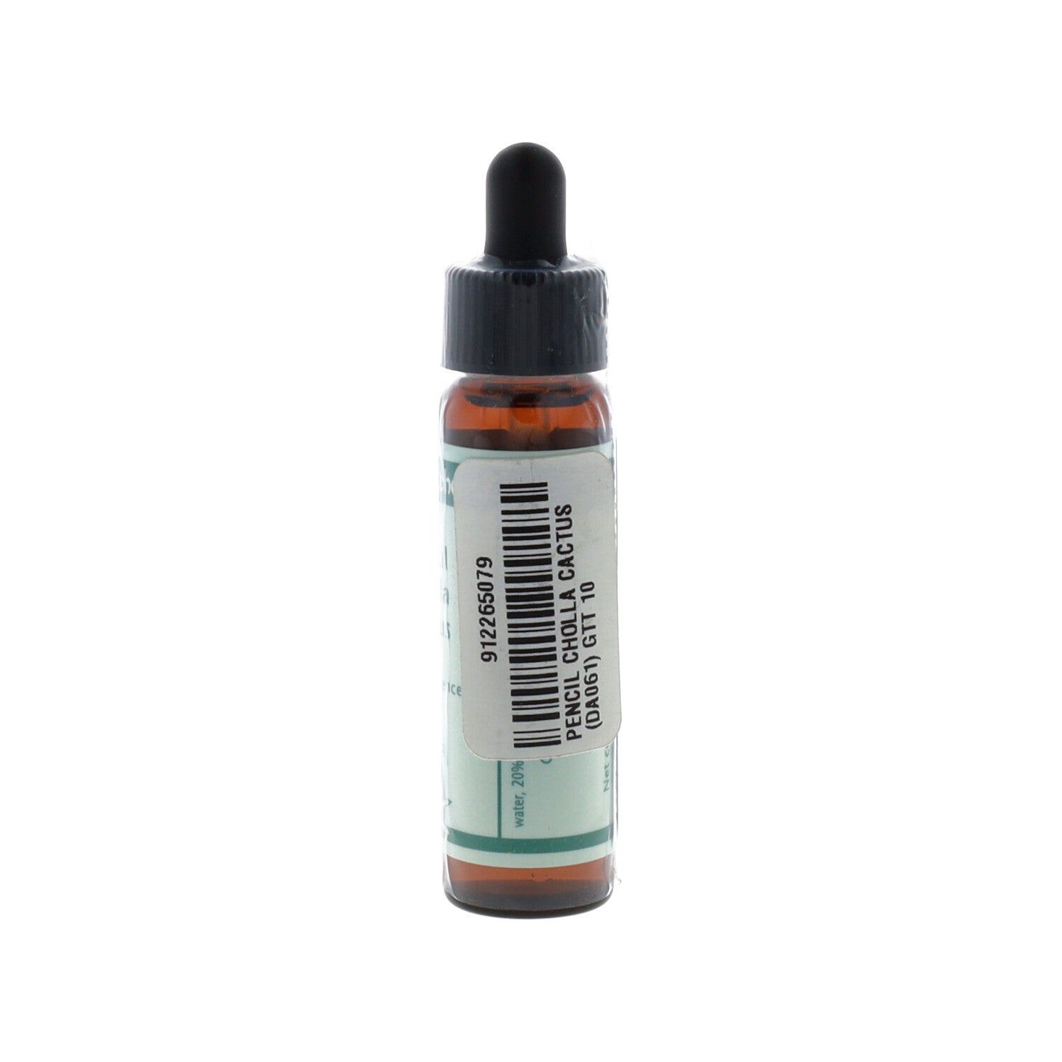 ESSENZA SINGOLA DEL DESERTO DELL'ARIZONA PENCIL CHOLLA CACTUS 10 ML