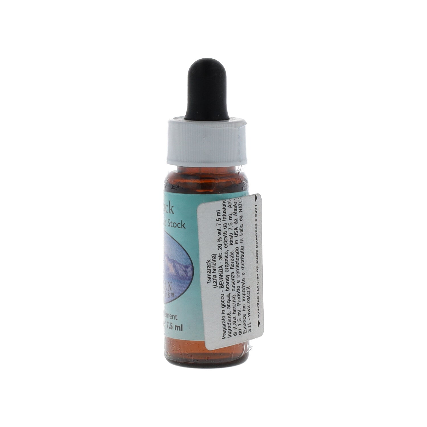ESSENZA ALASKA TAMARACK 7,4ML