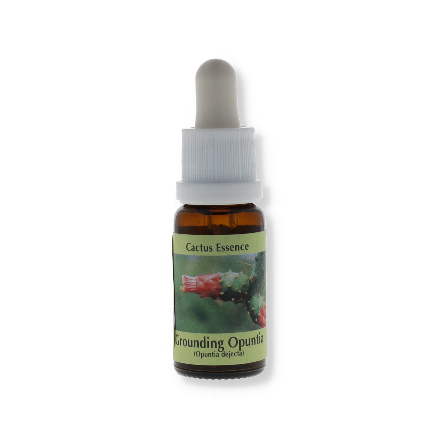 GROUNDING OPUNTIA 15ML