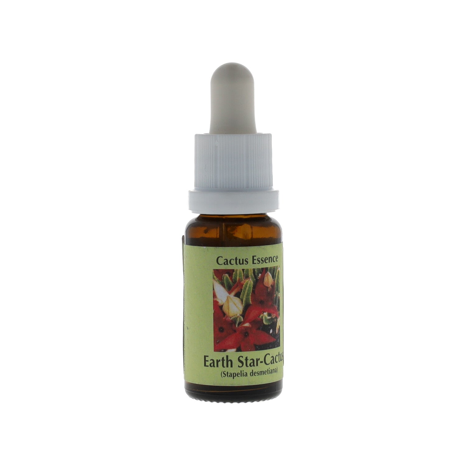 ESSENZA CACTUS KORTE EARTH STAR 15ML