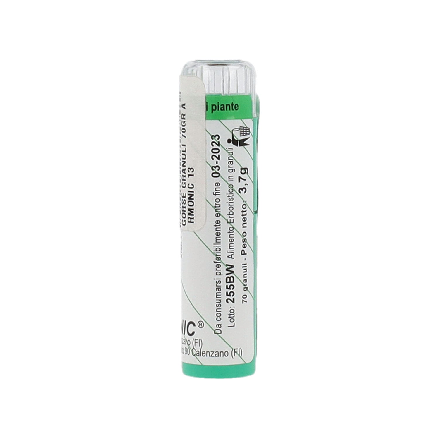 ARMONIC 13 GORSE 70GR