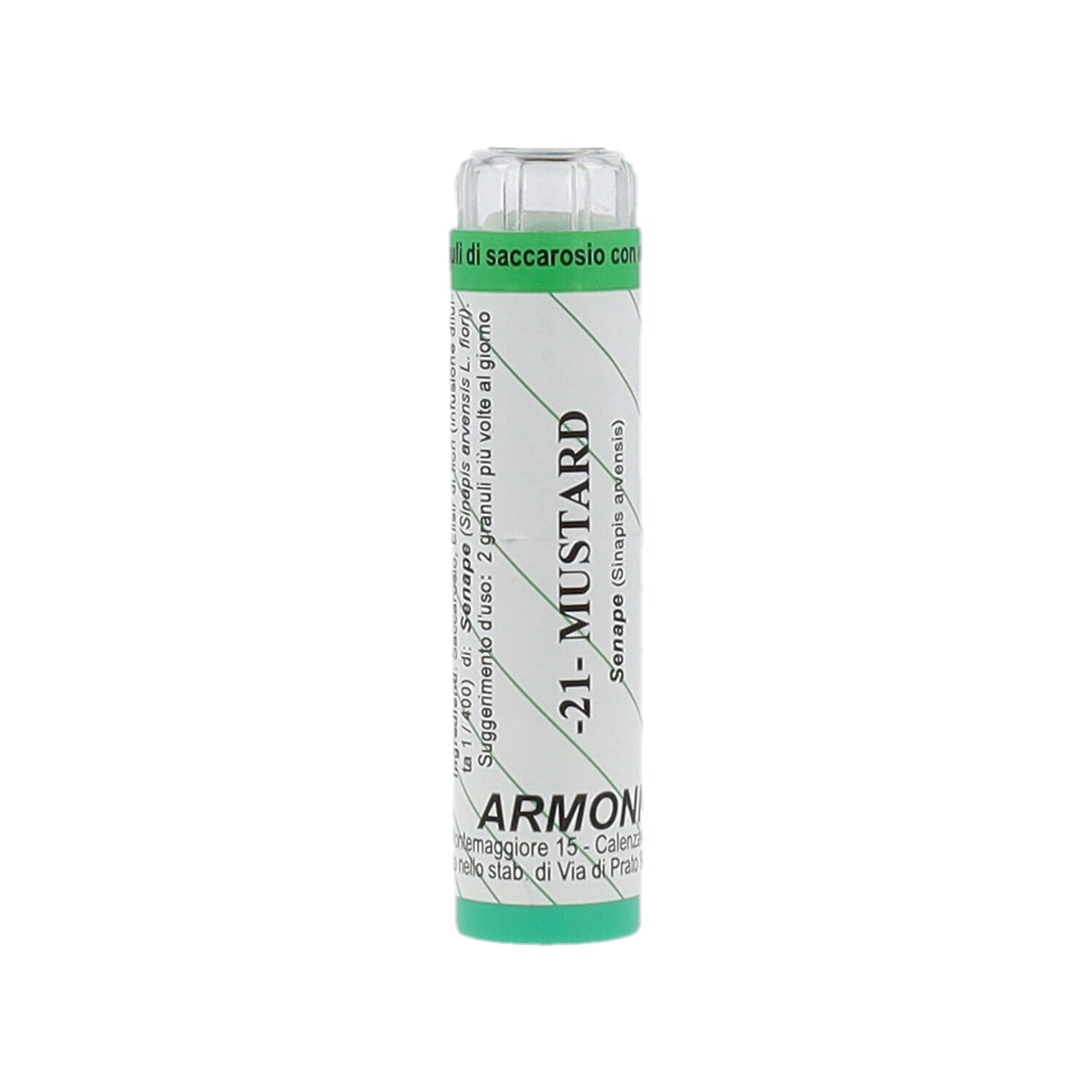 ARMONIC 21 MUSTARD 70GR