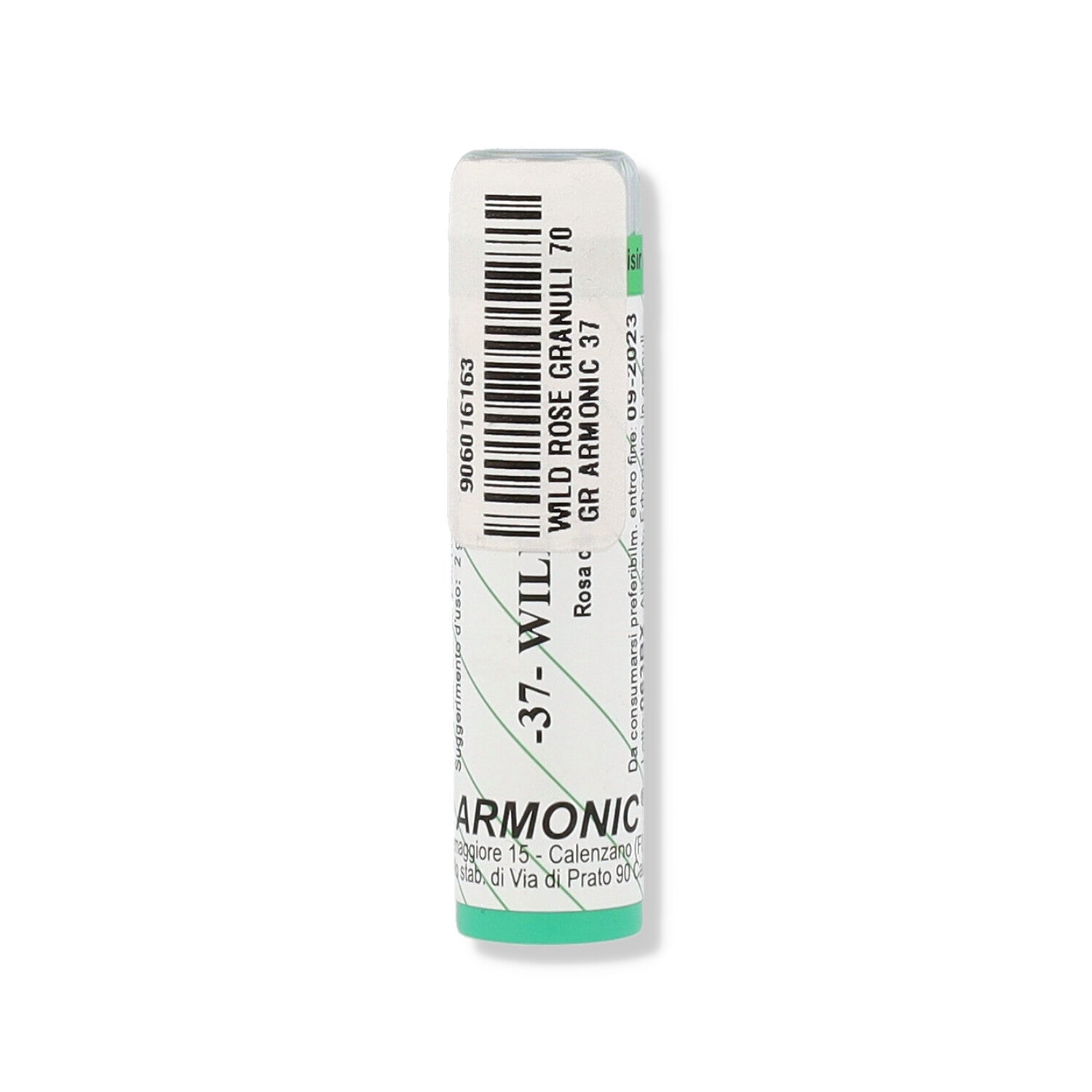 ARMONIC 37 WILD ROSE 70GR