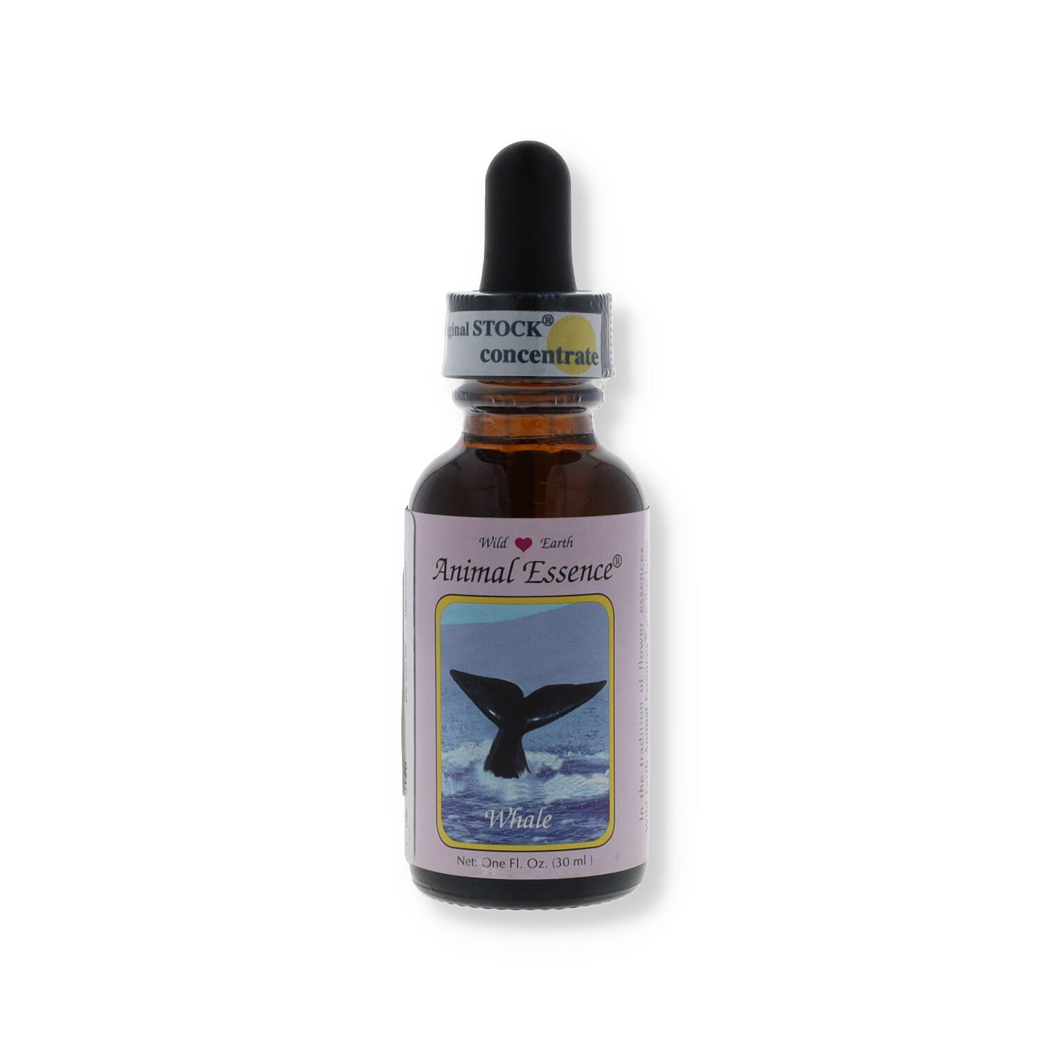 ESSENZA SINGOLA WILD EARTH BALENA 30 ML