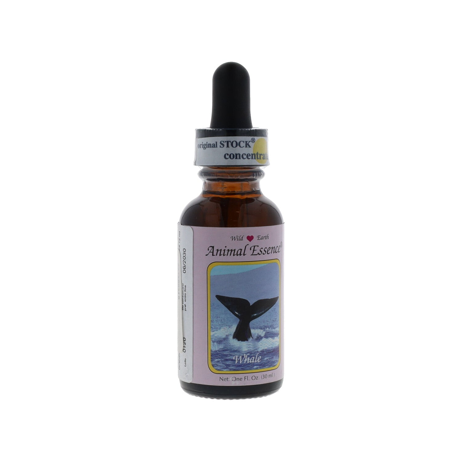ESSENZA SINGOLA WILD EARTH BALENA 30 ML