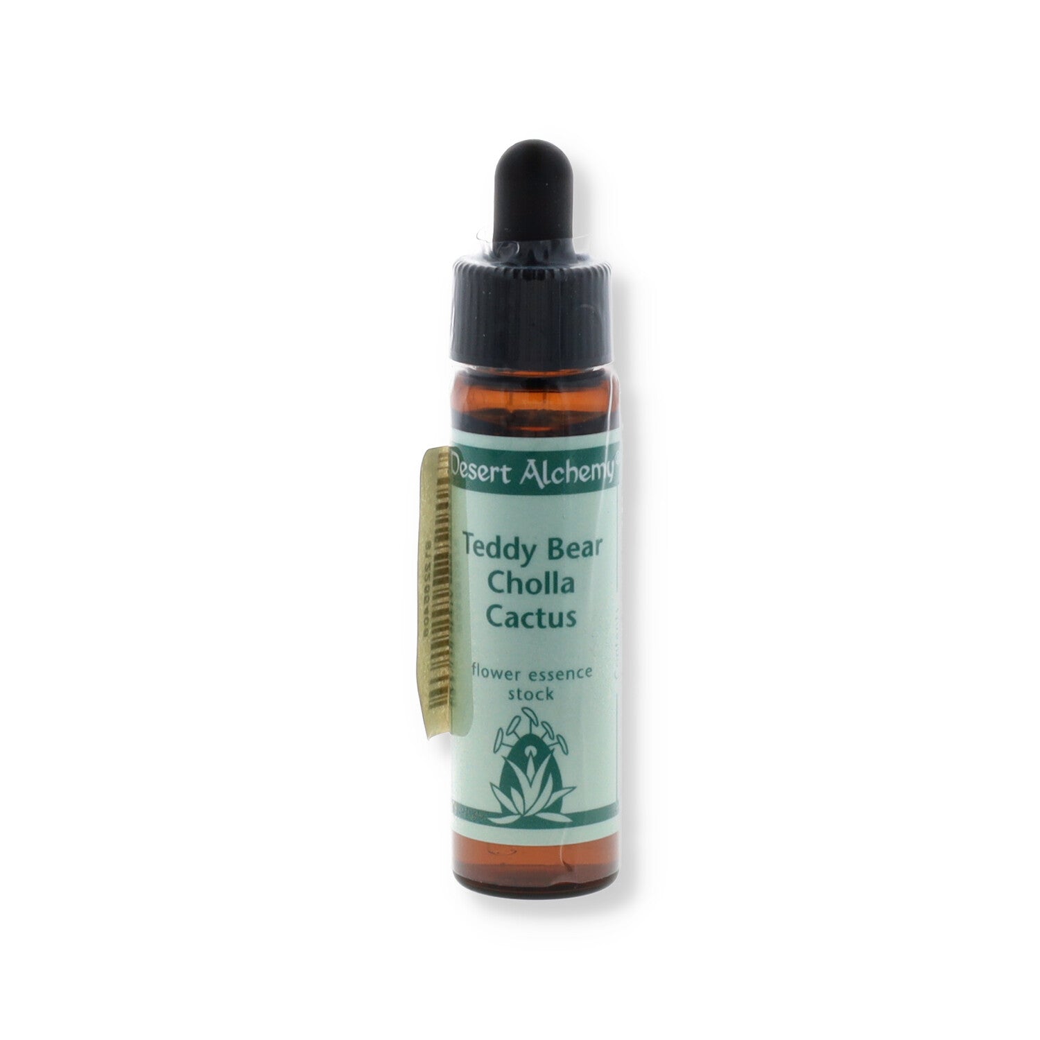 ESSENZA SINGOLA DEL DESERTO DELL'ARIZONA TEDDY BEAR CHOLLA CACTUS  10ML