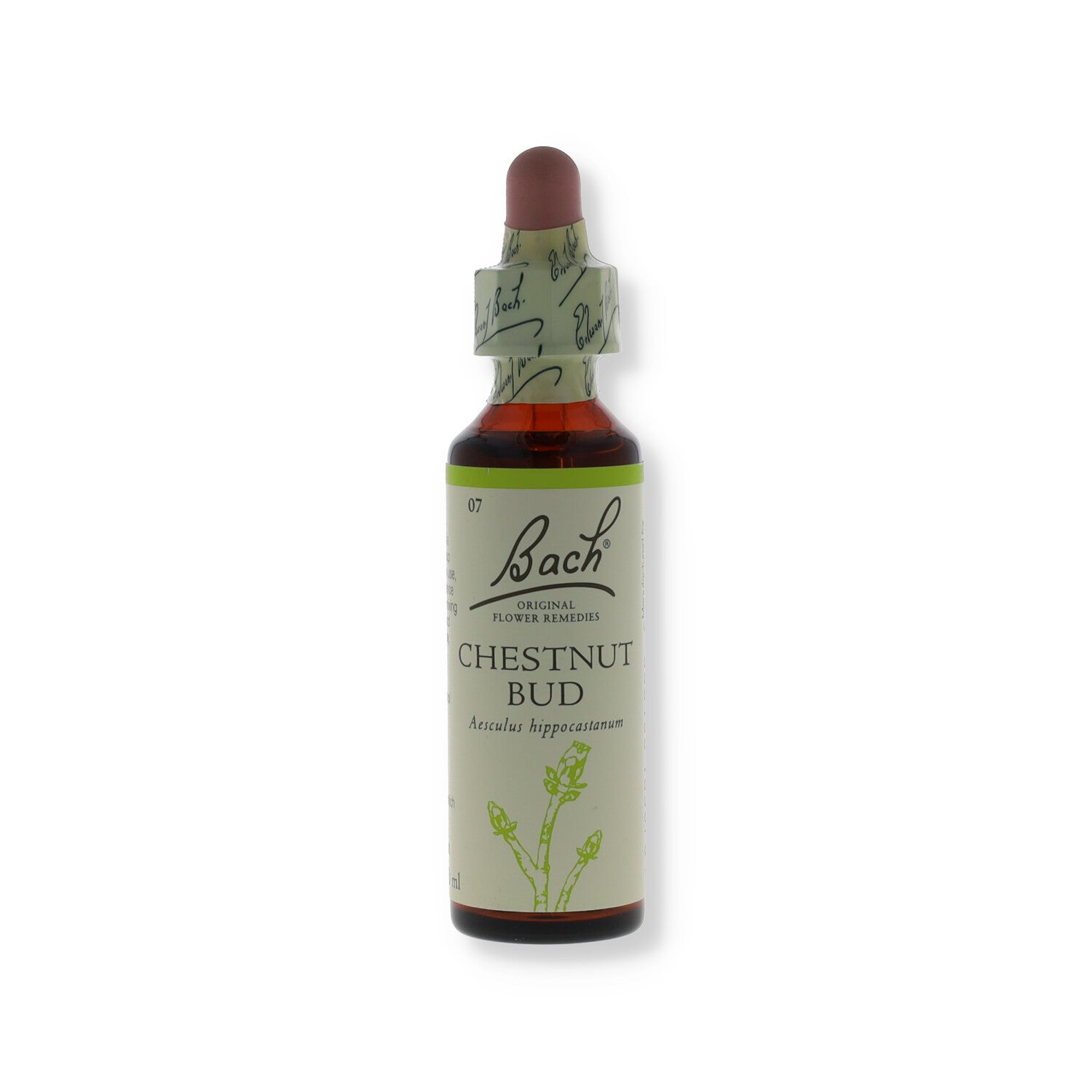FIORI DI BACH BACH CENTRE CHESTNUT BUD 20 ML