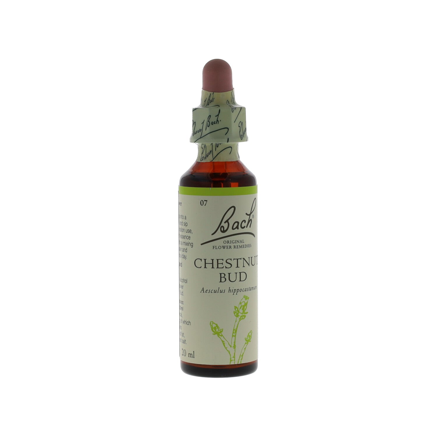 FIORI DI BACH BACH CENTRE CHESTNUT BUD 20 ML