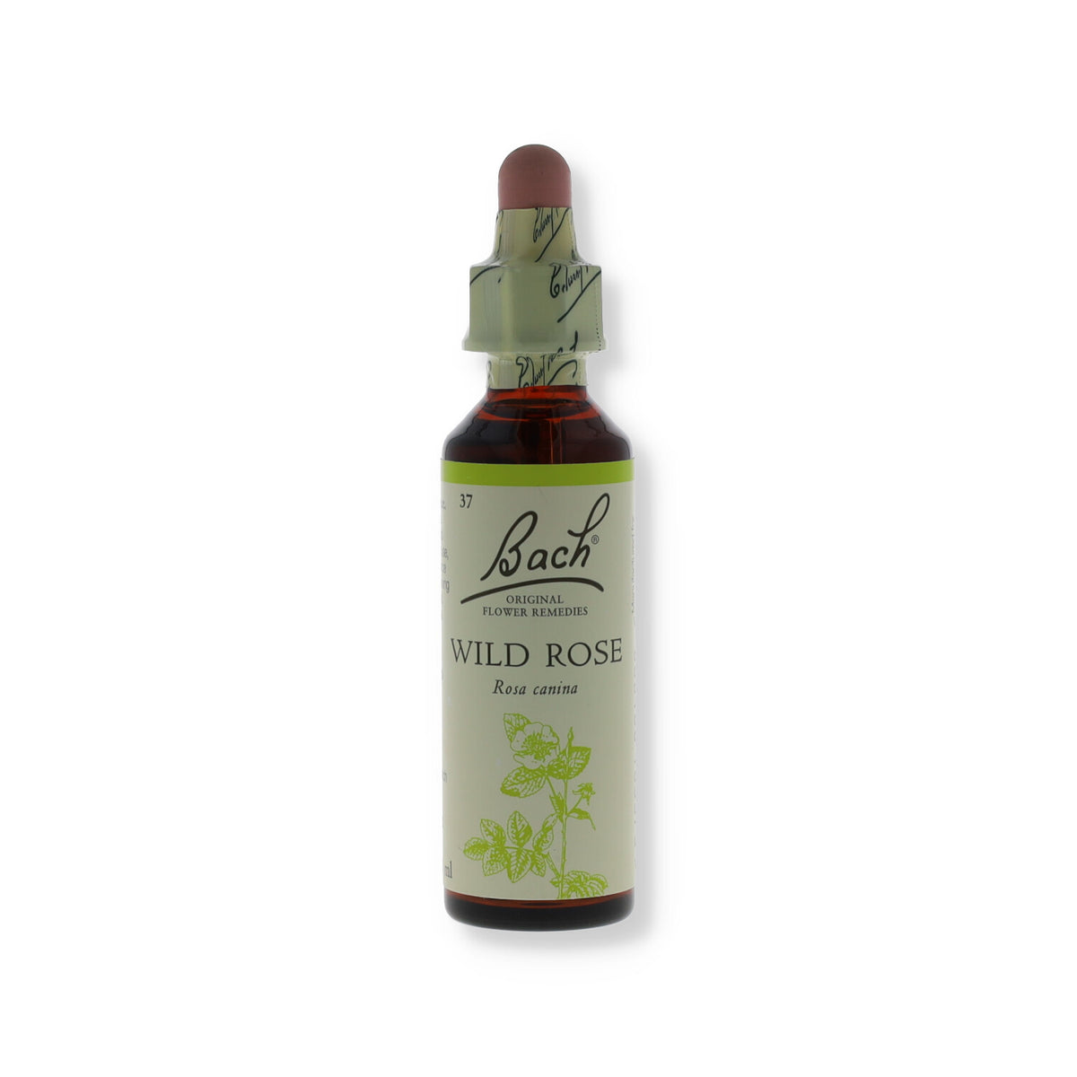 FIORI DI BACH WILD ROSE 20 ML