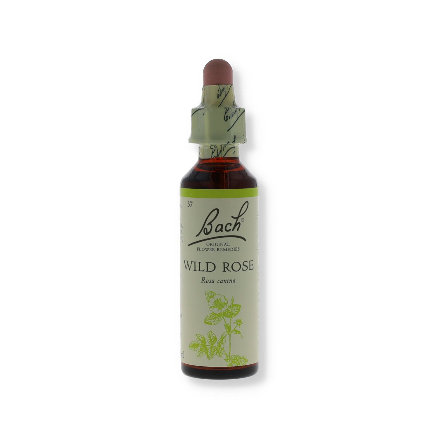 FIORI DI BACH WILD ROSE 20 ML