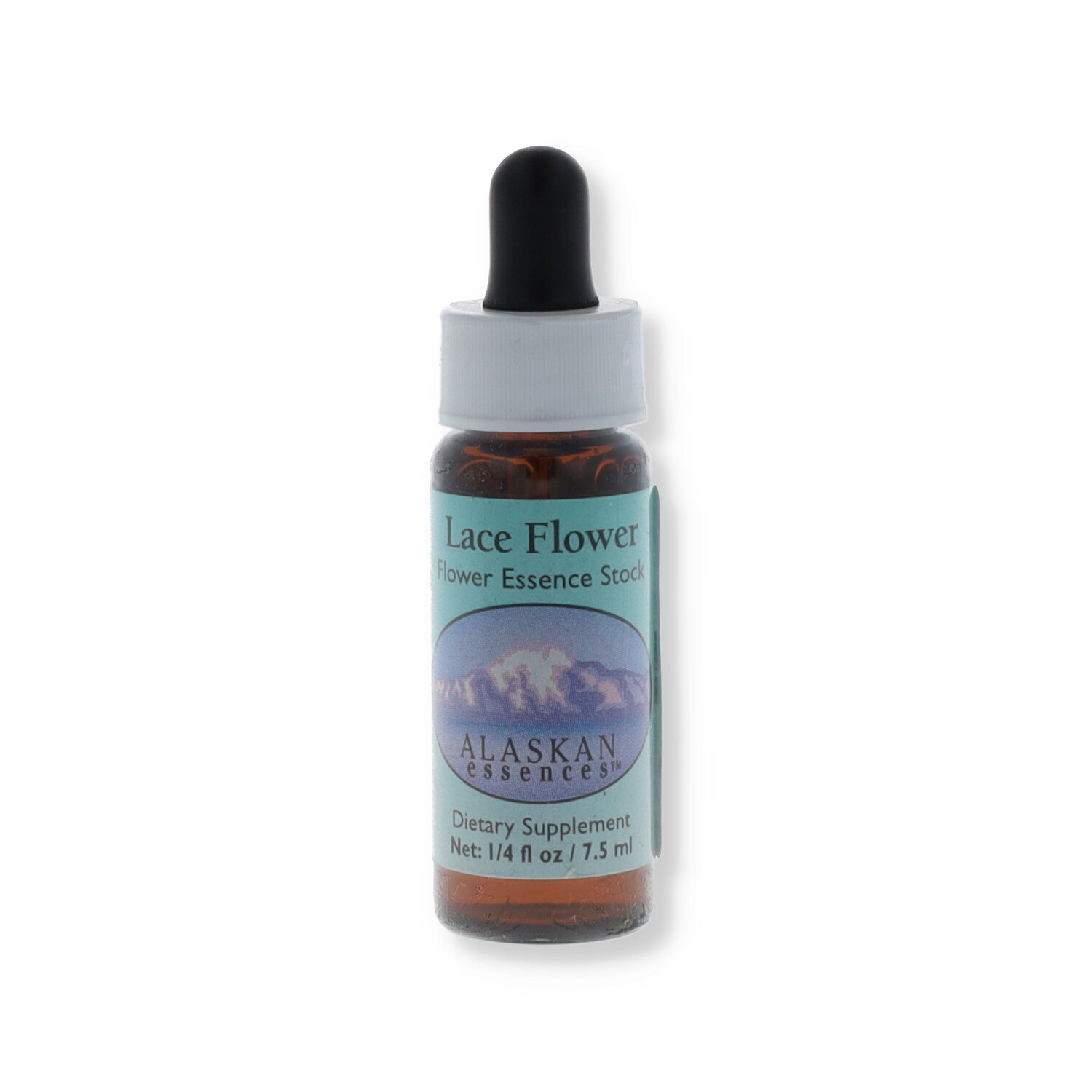 ESSENZA ALASKA LACE FLOWER 7,4ML