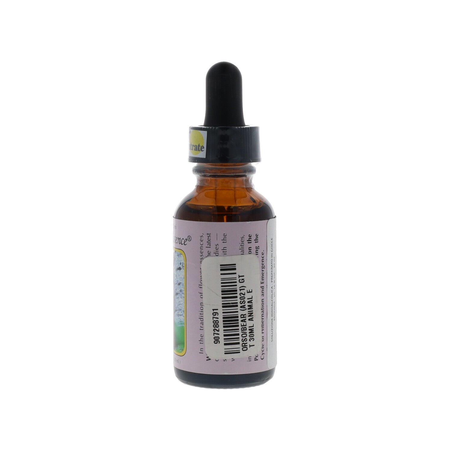ESSENZA SINGOLA WILD EARTH BEAR 30 ML