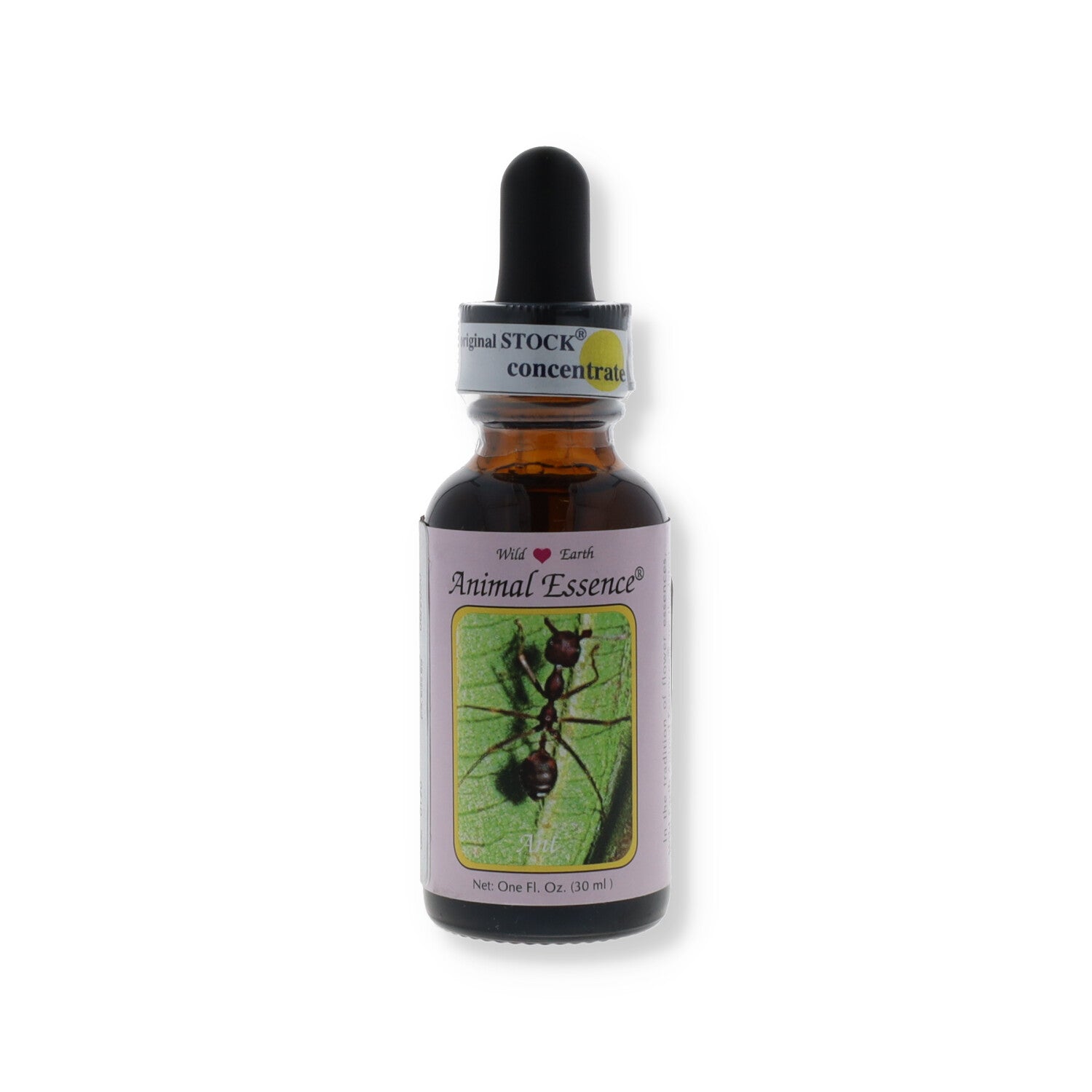 ESSENZA SINGOLA WILD EARTH ANT 30 ML