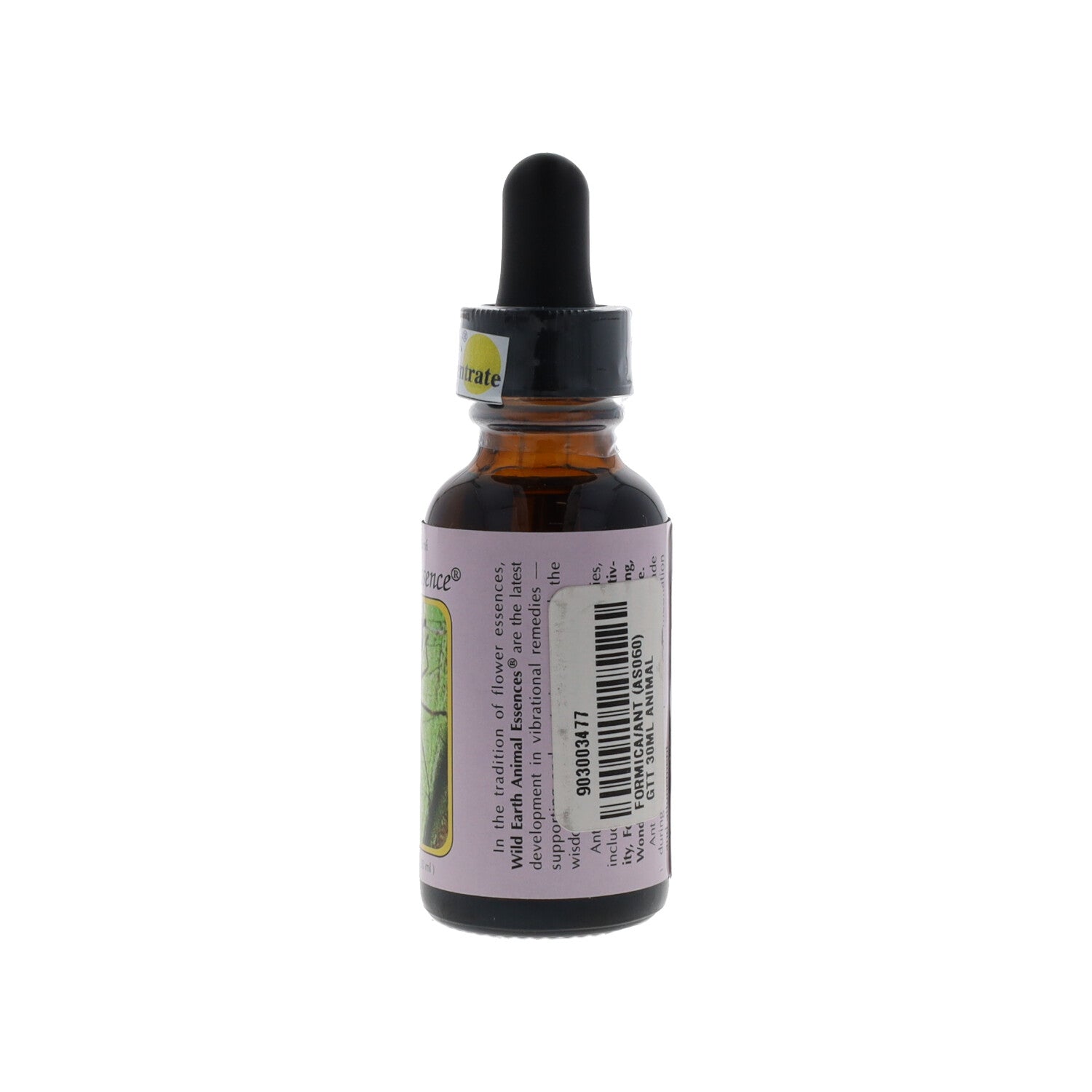 ESSENZA SINGOLA WILD EARTH ANT 30 ML