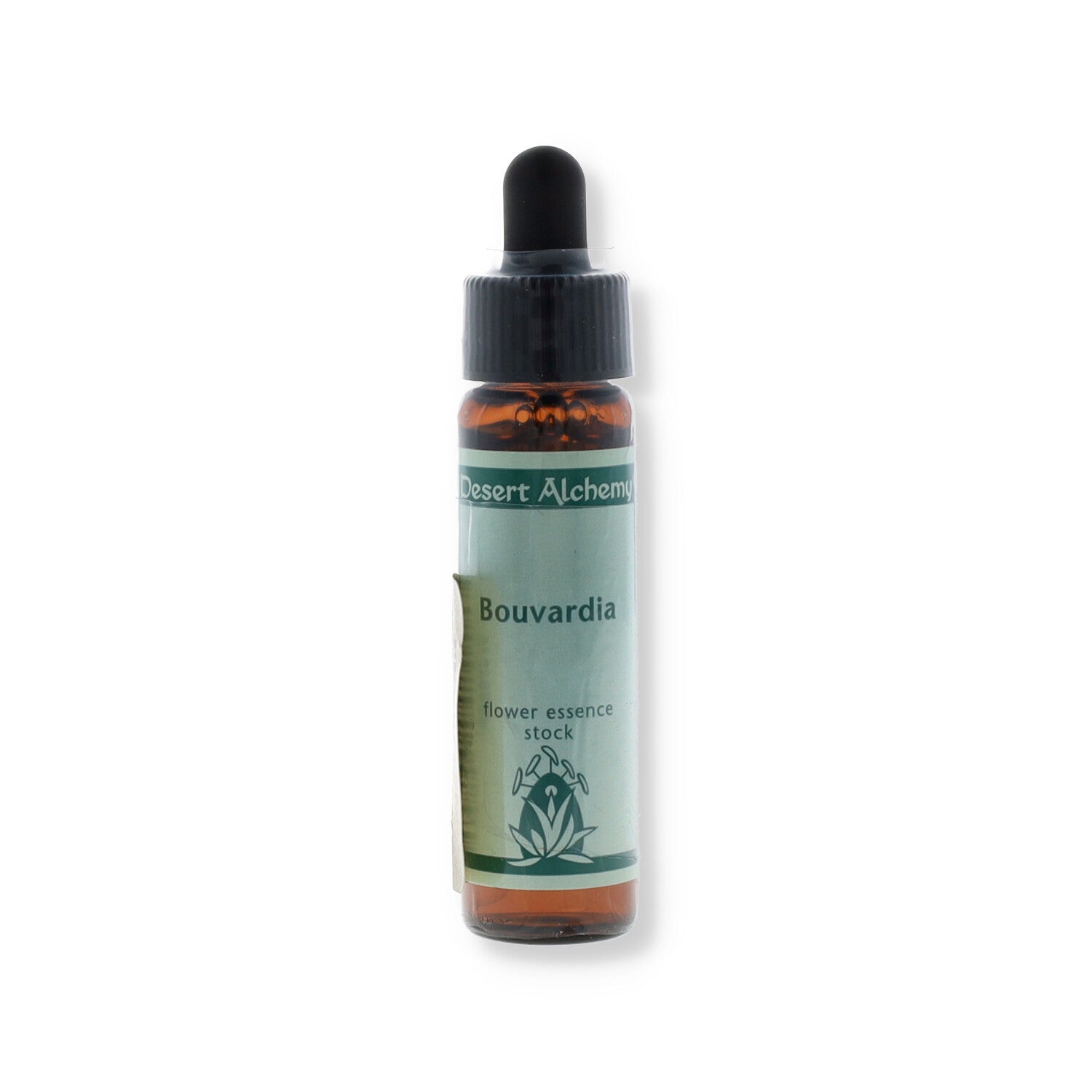ESSENZA SINGOLA DEL DESERTO DELL'ARIZONA BOUVARDIA 10 ML