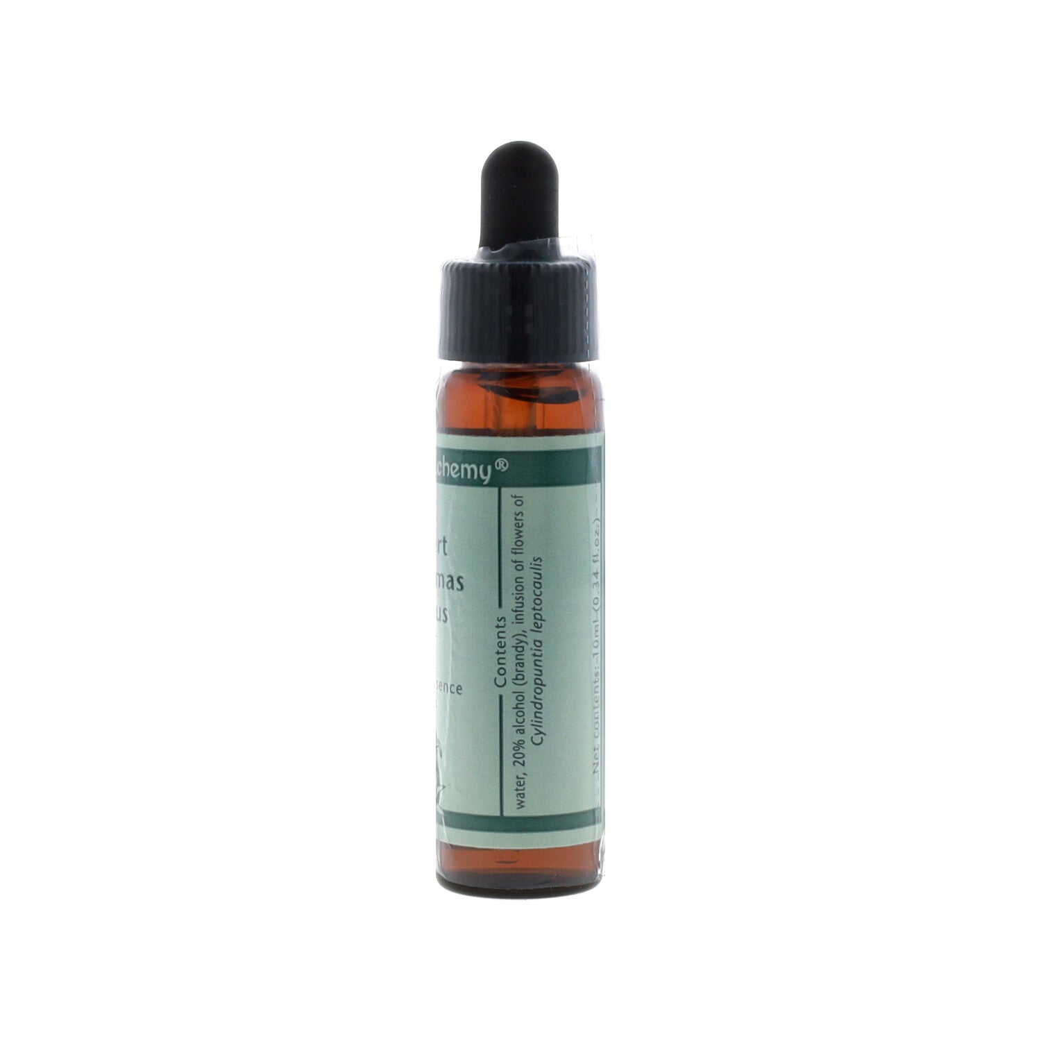 ESSENZA SINGOLA DEL DESERTO DELL'ARIZONA DESERT CHRISTMAS CHOLLA CACTUS 10 ML