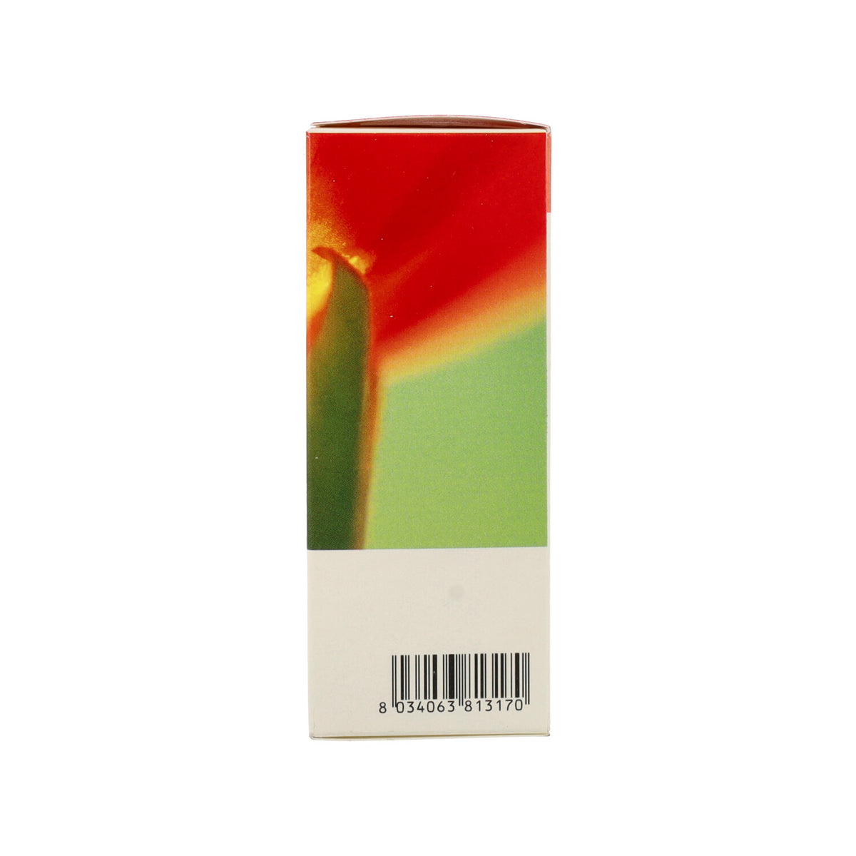 CIPRESSO RAMETI FOGLIUTI E BACCHE TM 50ML