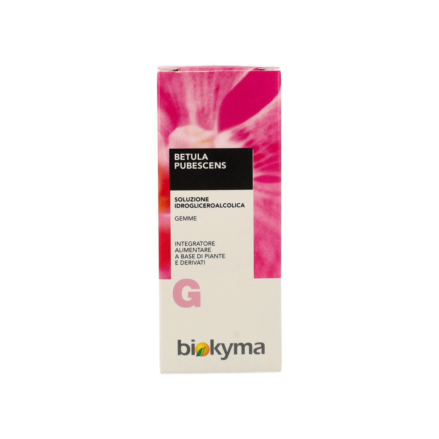 BETULA PUBESCENS GEMME TM 50ML