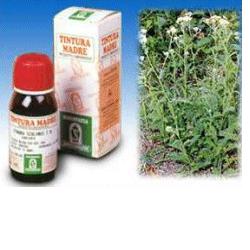 ACHILLEA MILLEFOLIUM  TINTURA MADRE