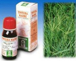 AGROPIRUM REPENS TINTURA MADRE
