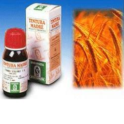 AVENA SATIVA TINTURA MADRE